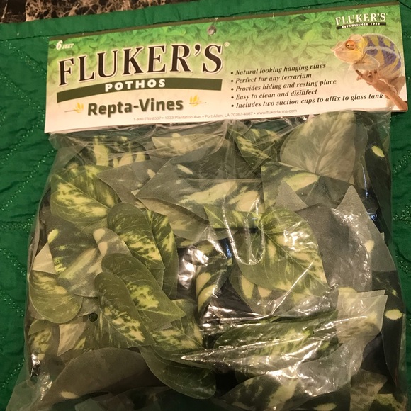 Reptile Hanging Vines - Picture 3 of 3